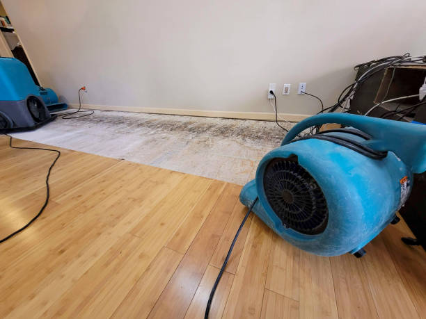 Professional Water Damage Repair technician working in Pleasanton, KS
